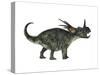 Styracosaurus, a Herbivorous Ceratopsian Dinosaur-null-Stretched Canvas