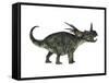 Styracosaurus, a Herbivorous Ceratopsian Dinosaur-null-Framed Stretched Canvas