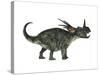 Styracosaurus, a Herbivorous Ceratopsian Dinosaur-null-Stretched Canvas