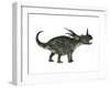 Styracosaurus, a Herbivorous Ceratopsian Dinosaur-null-Framed Art Print