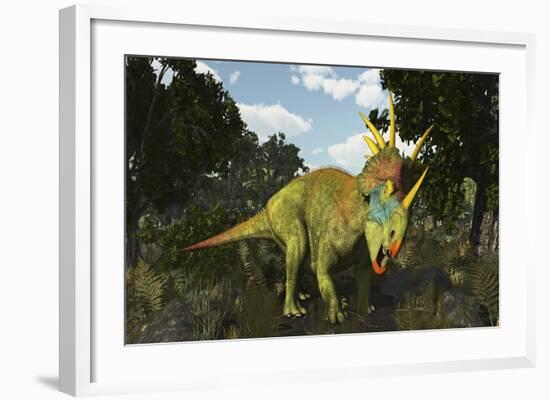 Styracosaurus, a Horned Dinosaur of the Late Cretaceous-Stocktrek Images-Framed Art Print