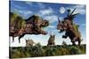 Styracosaurus and Tyrannosaurus Rex Dinosaur Sculptures-null-Stretched Canvas