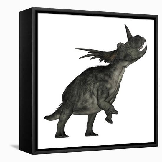 Styracosaurus Dinosaur Roaring-Stocktrek Images-Framed Stretched Canvas