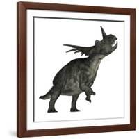 Styracosaurus Dinosaur Roaring-Stocktrek Images-Framed Art Print