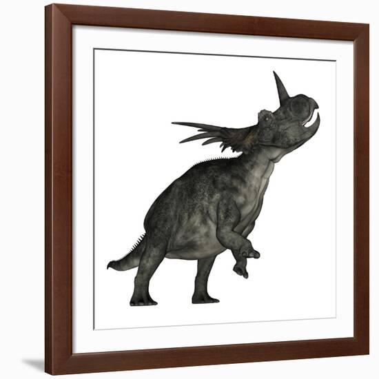 Styracosaurus Dinosaur Roaring-Stocktrek Images-Framed Art Print