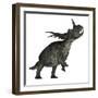 Styracosaurus Dinosaur Roaring-Stocktrek Images-Framed Art Print