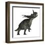 Styracosaurus Dinosaur Roaring-Stocktrek Images-Framed Art Print