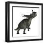 Styracosaurus Dinosaur Roaring-Stocktrek Images-Framed Art Print