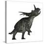 Styracosaurus Dinosaur Roaring-Stocktrek Images-Stretched Canvas