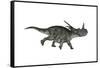 Styracosaurus Dinosaur Running-Stocktrek Images-Framed Stretched Canvas