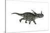 Styracosaurus Dinosaur Running-Stocktrek Images-Stretched Canvas