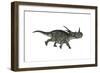 Styracosaurus Dinosaur Running-Stocktrek Images-Framed Art Print