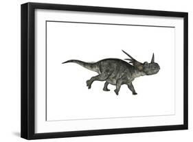 Styracosaurus Dinosaur Running-Stocktrek Images-Framed Art Print