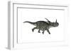 Styracosaurus Dinosaur Running-Stocktrek Images-Framed Art Print