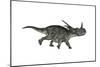 Styracosaurus Dinosaur Running-Stocktrek Images-Mounted Art Print