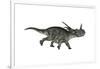 Styracosaurus Dinosaur Running-Stocktrek Images-Framed Art Print