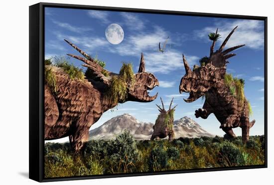 Styracosaurus Dinosaur Sculptures-null-Framed Stretched Canvas