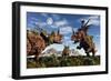 Styracosaurus Dinosaur Sculptures-null-Framed Art Print