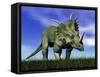 Styracosaurus Dinosaur Walking in the Grass-null-Framed Stretched Canvas