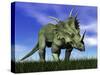 Styracosaurus Dinosaur Walking in the Grass-null-Stretched Canvas