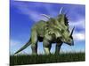 Styracosaurus Dinosaur Walking in the Grass-null-Mounted Art Print