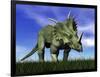Styracosaurus Dinosaur Walking in the Grass-null-Framed Art Print