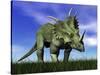 Styracosaurus Dinosaur Walking in the Grass-null-Stretched Canvas