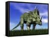 Styracosaurus Dinosaur Walking in the Grass-null-Framed Stretched Canvas