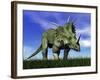 Styracosaurus Dinosaur Walking in the Grass-null-Framed Art Print