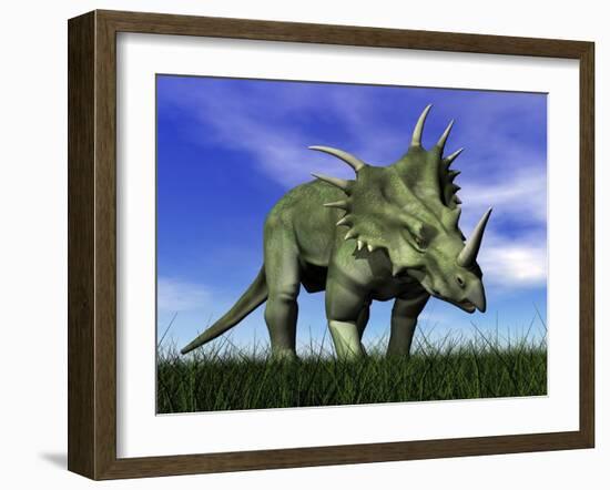 Styracosaurus Dinosaur Walking in the Grass-null-Framed Art Print