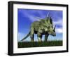 Styracosaurus Dinosaur Walking in the Grass-null-Framed Art Print