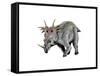 Styracosaurus Dinosaur-null-Framed Stretched Canvas