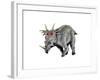 Styracosaurus Dinosaur-null-Framed Art Print