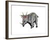 Styracosaurus Dinosaur-null-Framed Art Print