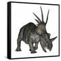 Styracosaurus Dinosaur-Stocktrek Images-Framed Stretched Canvas