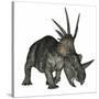 Styracosaurus Dinosaur-Stocktrek Images-Stretched Canvas