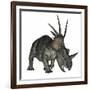 Styracosaurus Dinosaur-Stocktrek Images-Framed Premium Giclee Print