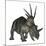 Styracosaurus Dinosaur-Stocktrek Images-Mounted Premium Giclee Print