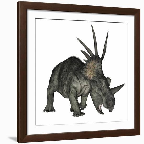 Styracosaurus Dinosaur-Stocktrek Images-Framed Art Print