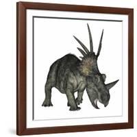 Styracosaurus Dinosaur-Stocktrek Images-Framed Art Print