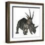 Styracosaurus Dinosaur-Stocktrek Images-Framed Art Print