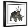 Styracosaurus Dinosaur-Stocktrek Images-Framed Art Print