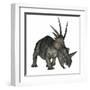 Styracosaurus Dinosaur-Stocktrek Images-Framed Art Print