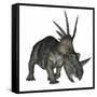 Styracosaurus Dinosaur-Stocktrek Images-Framed Stretched Canvas