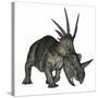 Styracosaurus Dinosaur-Stocktrek Images-Stretched Canvas