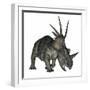 Styracosaurus Dinosaur-Stocktrek Images-Framed Art Print