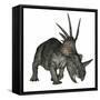 Styracosaurus Dinosaur-Stocktrek Images-Framed Stretched Canvas