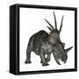 Styracosaurus Dinosaur-Stocktrek Images-Framed Stretched Canvas