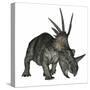 Styracosaurus Dinosaur-Stocktrek Images-Stretched Canvas