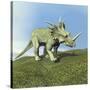 Styracosaurus Dinosaur-null-Stretched Canvas